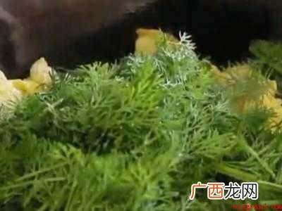茴香炒鸡蛋怎么做的具体操作步骤 茴香炒鸡蛋怎么做