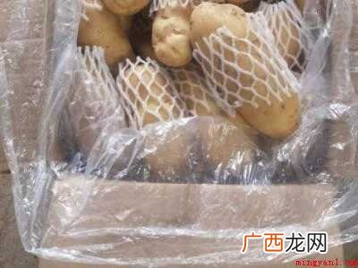 夏天土豆怎么保存不发绿不长牙