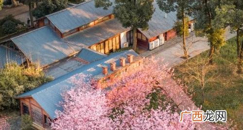武汉惠民旅游免费门票在哪领 武汉惠民旅游免费门票在哪领2022