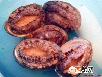 活鲍鱼怎么做好吃又简单方便
