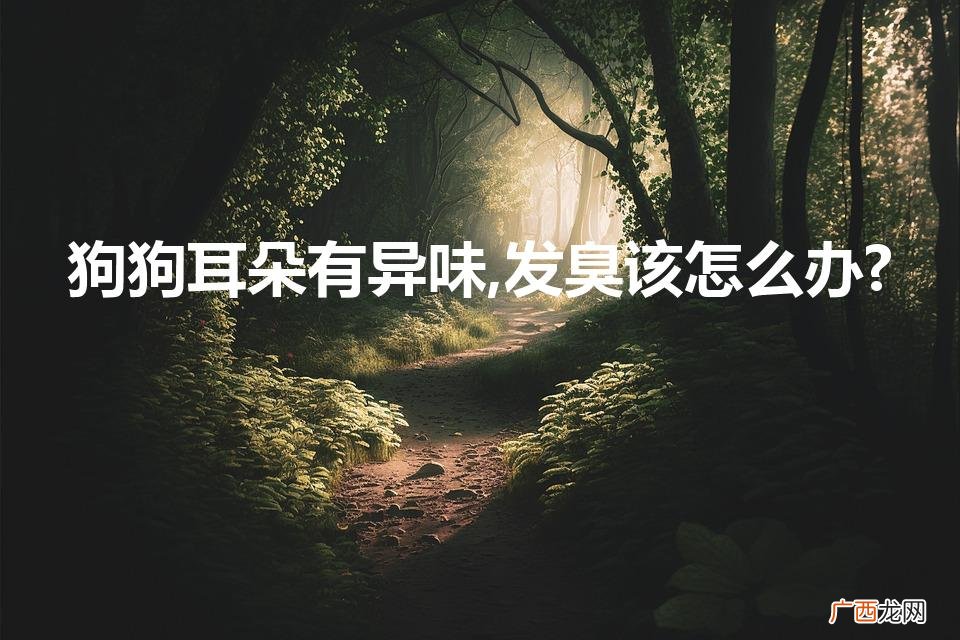狗狗耳朵有异味,发臭该怎么办?（狗狗耳朵有异味发臭该怎么办)