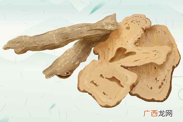 芡实的功效与作用及食用方法