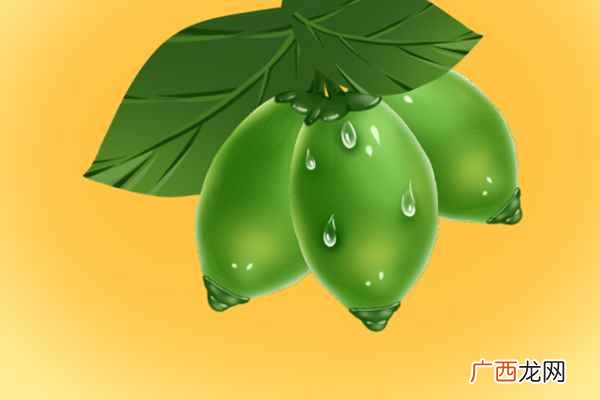 焦槟榔的功效与作用