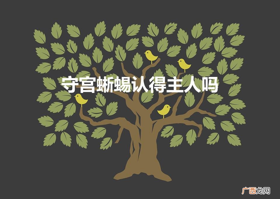 守宫会记住主人吗 守宫蜥蜴认得主人吗