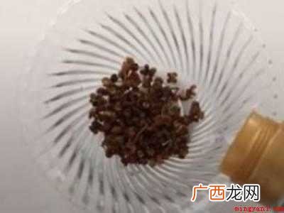 自制灭蚊子的小妙招的具体操作步骤 自制灭蚊子的小妙招