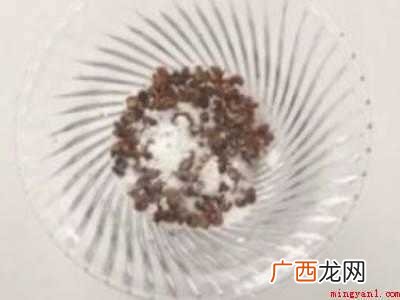 自制灭蚊子的小妙招的具体操作步骤 自制灭蚊子的小妙招