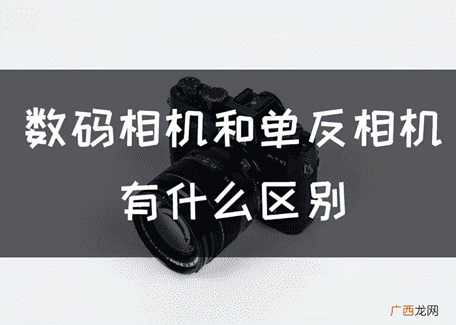 通俗易懂解释两者的不同 单反相机和数码相机的区别