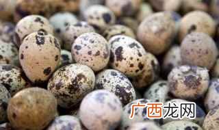 苏格兰蛋炸锅的做法步骤 苏格兰鹌鹑蛋怎么做好吃