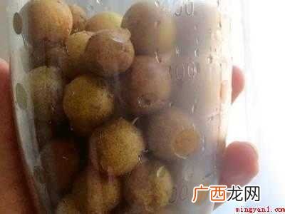 黄皮水的做法的具体操作步骤 黄皮水的做法