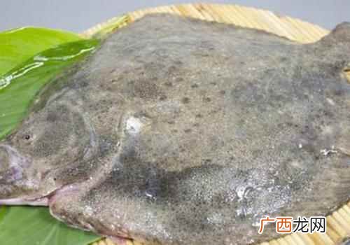 吃多宝鱼有什么好处 吃多宝鱼有什么好处,多宝鱼有什么营养价值