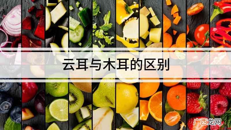 木耳和云耳有什么区别 云耳与木耳的区别