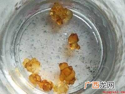 杨梅做菜怎么做好吃的具体操作步骤 杨梅做菜怎么做好吃