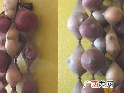 洋葱怎样保存不烂的具体操作步骤 洋葱怎样保存不烂