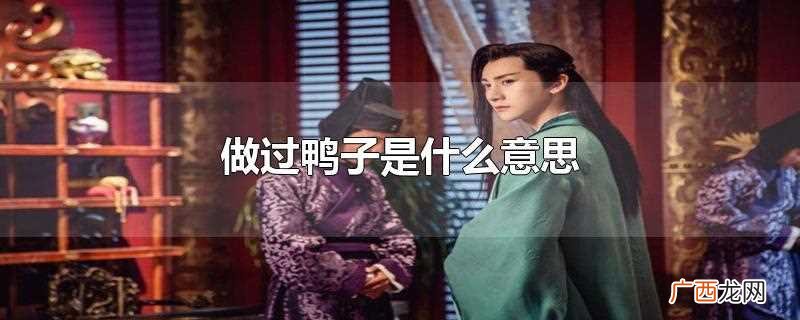专提供男男性行为服务的男性 做过鸭子是什么意思