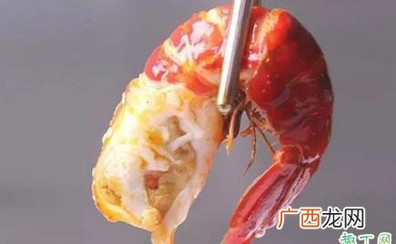 有虾籽的公虾还是母虾 有虾黄的是公虾还是母虾