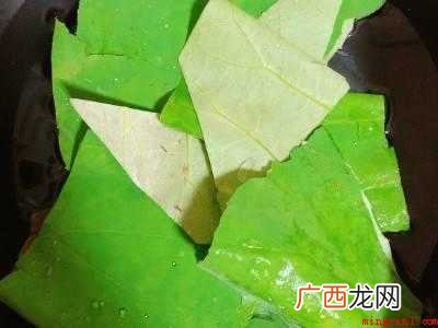 新鲜荷叶怎么处理蒸东西