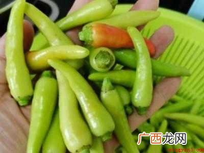 怎样做泡椒才好吃的具体操作步骤 怎样做泡椒才好吃