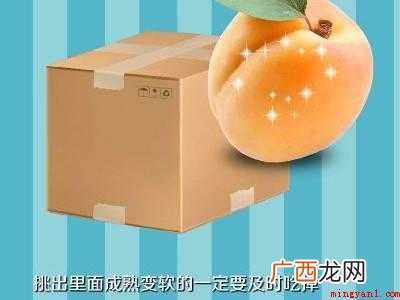 杏怎么保存的时间长的具体操作步骤 杏怎么保存的时间长