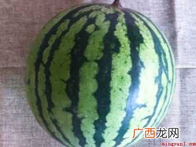 西瓜催熟方法的具体操作步骤 西瓜催熟方法