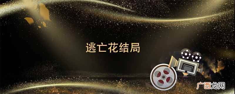 逃亡花结局怎样了 逃亡花结局