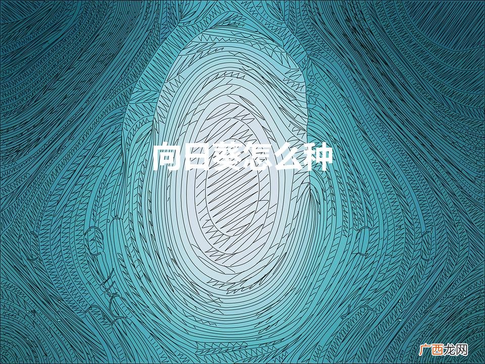 向日葵种植时间和方法 向日葵怎么种
