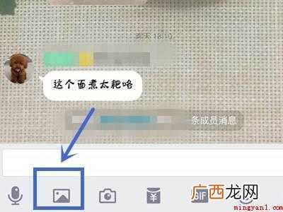 苹果怎么发闪照的具体操作步骤 苹果怎么发闪照
