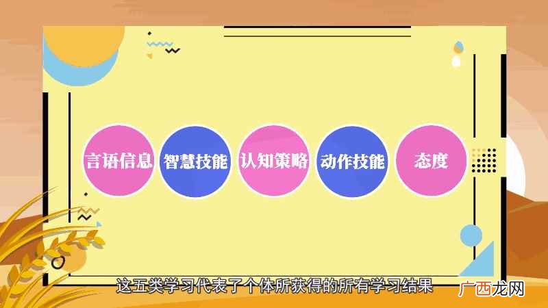 加涅将人类学习分成五类 加涅的学习结果分类