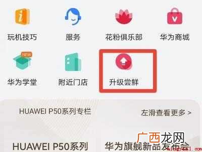 华为安卓系统怎么换成鸿蒙的具体操作步骤 华为安卓系统怎么换成鸿蒙