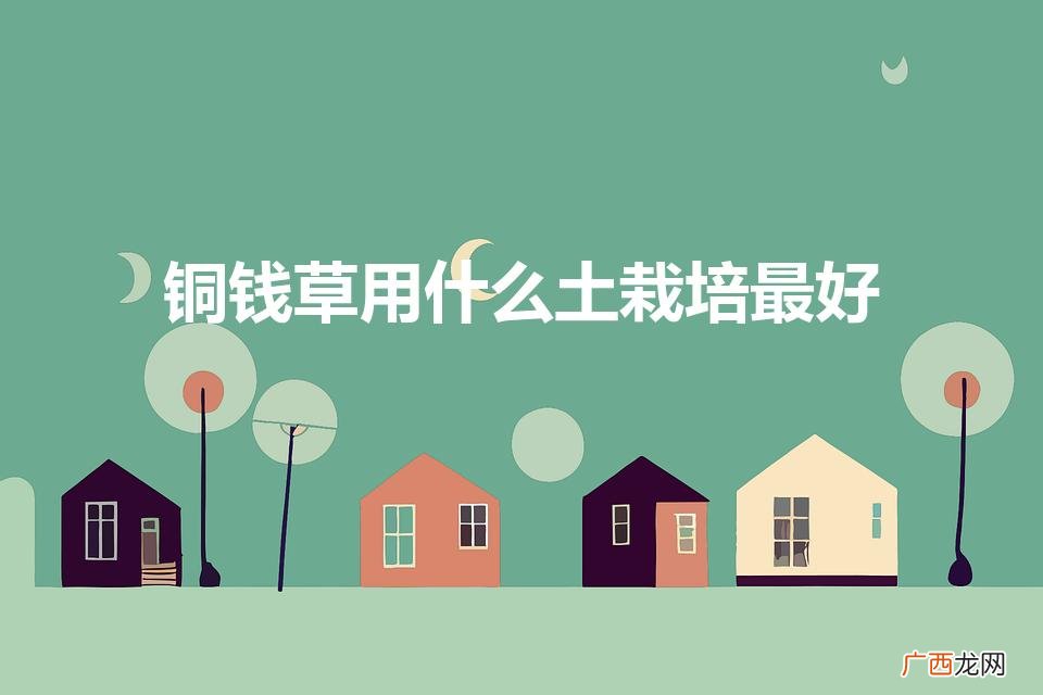 铜钱草用什么土栽培最好（铜钱草用什么土种植好)