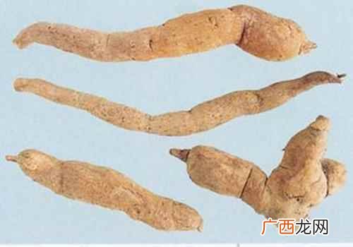 消炎止痢乌药具有较强的镇痛、抗炎作用 乌药的功效与作用,乌药的功效,乌药的作用