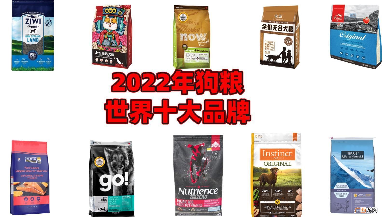 全球口碑好的狗粮品牌排行榜 世界十大顶级狗粮品牌