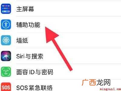 苹果12的悬浮球在哪里打开的具体操作步骤 苹果12的悬浮球在哪里打开