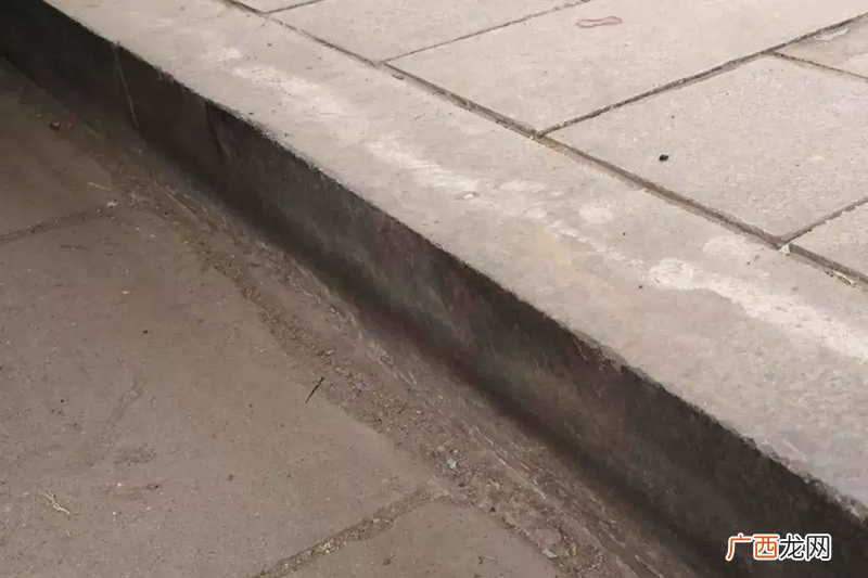 马路牙子什么意思 马路牙子学名叫什么
