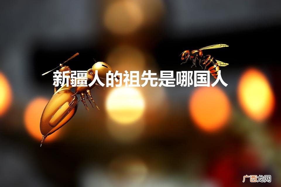 新疆人的祖先是哪国人