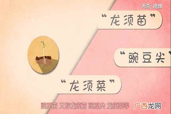 豌豆苗还有哪些不一样的做法 豌豆苗的功效与作用