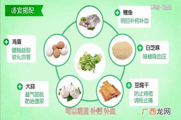 豌豆苗还有哪些不一样的做法 豌豆苗的功效与作用