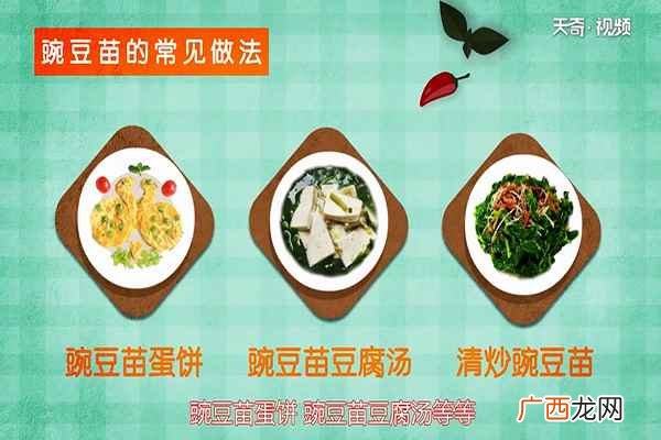 豌豆苗还有哪些不一样的做法 豌豆苗的功效与作用