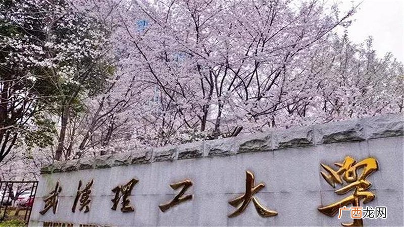 武汉理工大学是985吗还是211 武汉理工大学是985吗