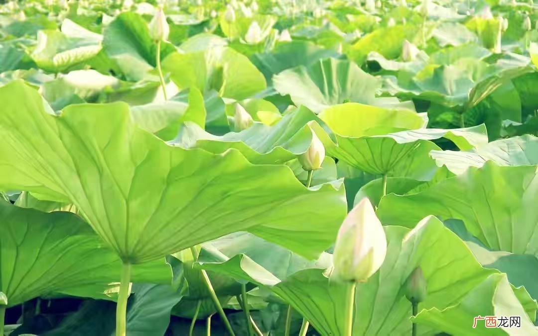 不冷不热是什么态度 男人态度不冷不热又不肯分手什么原因
