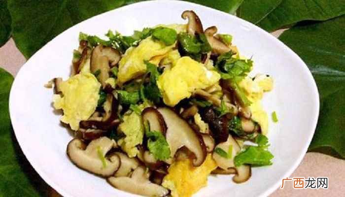 香菇和鸡蛋可以一起吃吗百度网盘 香菇和鸡蛋可以一起吃吗