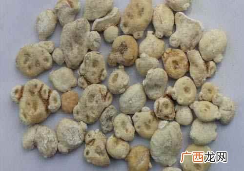 天南星的功效与作用及副作用 天南星的功效与作用