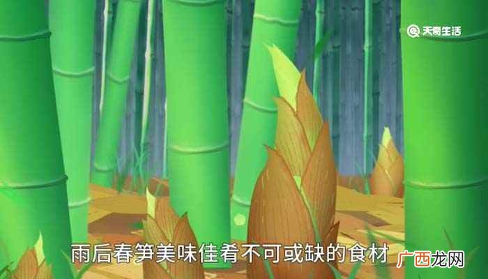 竹子的品质和精神诗句 竹子的品质和精神