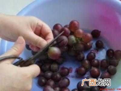 青提怎么洗才能洗得干净的具体操作步骤 青提怎么洗才能洗得干净