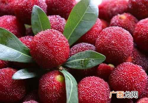 杨梅有什么营养作用 杨梅有什么营养