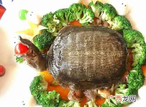 僵蚕的功效与作用 鳖甲的作用与功能主治