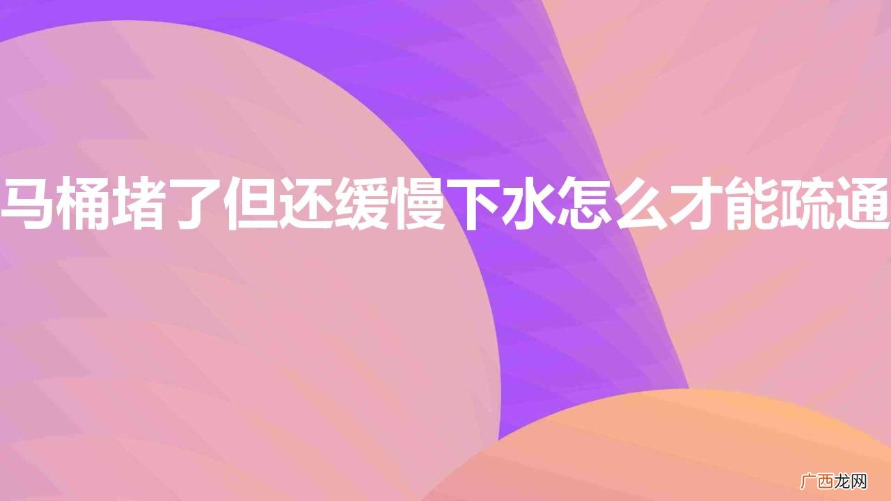 怎么解决马桶堵塞问题 马桶堵了但还缓慢下水怎么才能疏通