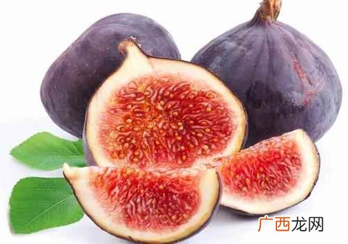 无花果的功效和作用 无花果的功效