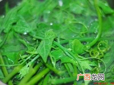 南瓜尖怎么处理干净的具体操作步骤 南瓜尖怎么处理干净