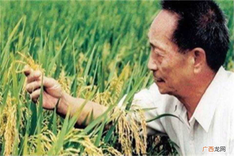 我国著名科学家有哪些 著名科学家的事迹和成就