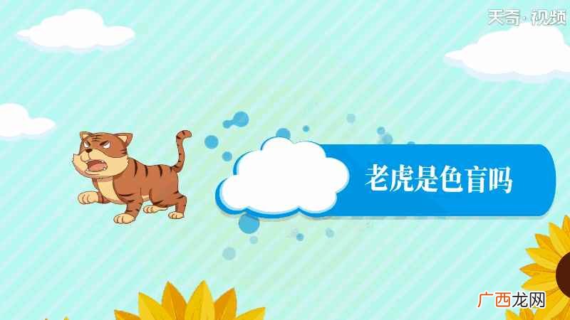 老虎是否是色盲 老虎是色盲吗